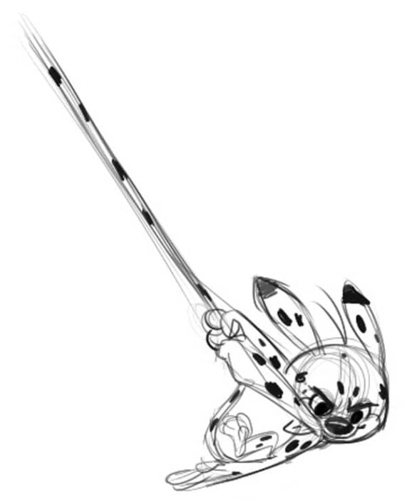 Illustration Ellipse Animation